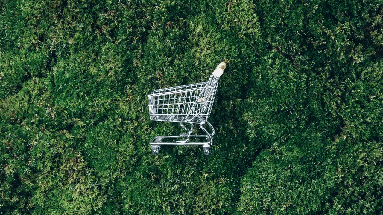 Carro de supermercado na grama